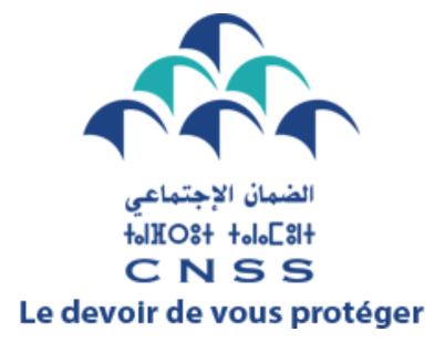 CNSS_logo