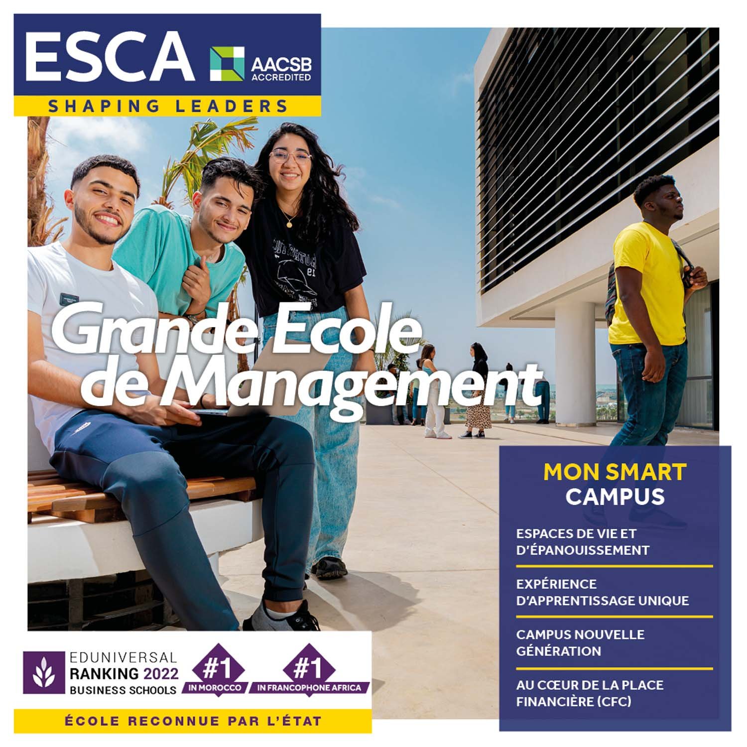 esca licence digital et business development