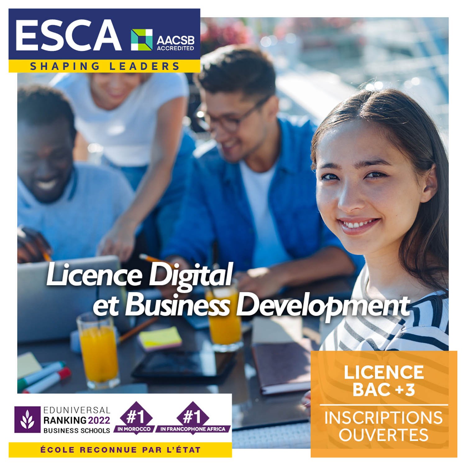 licence digital business et development