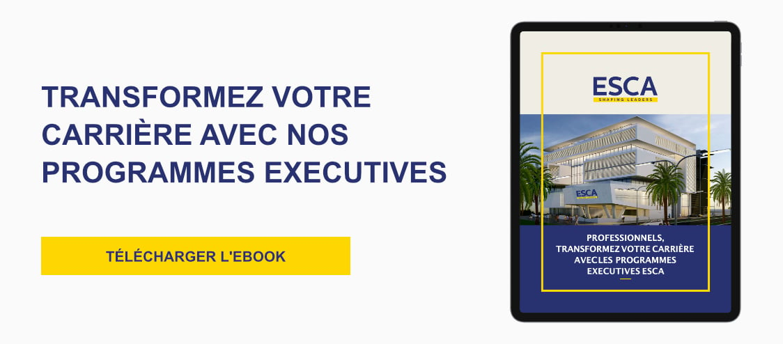 Banner Ebook programmes executives Maroc