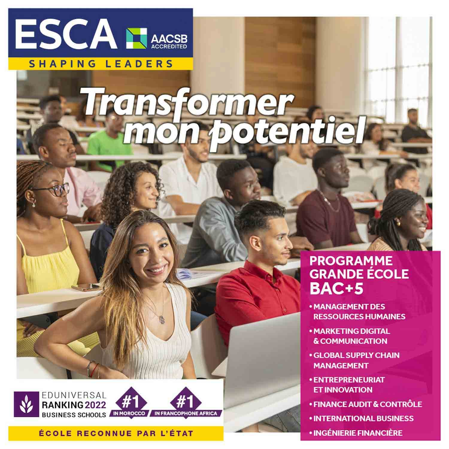 esca_transformer_mon_potentiel