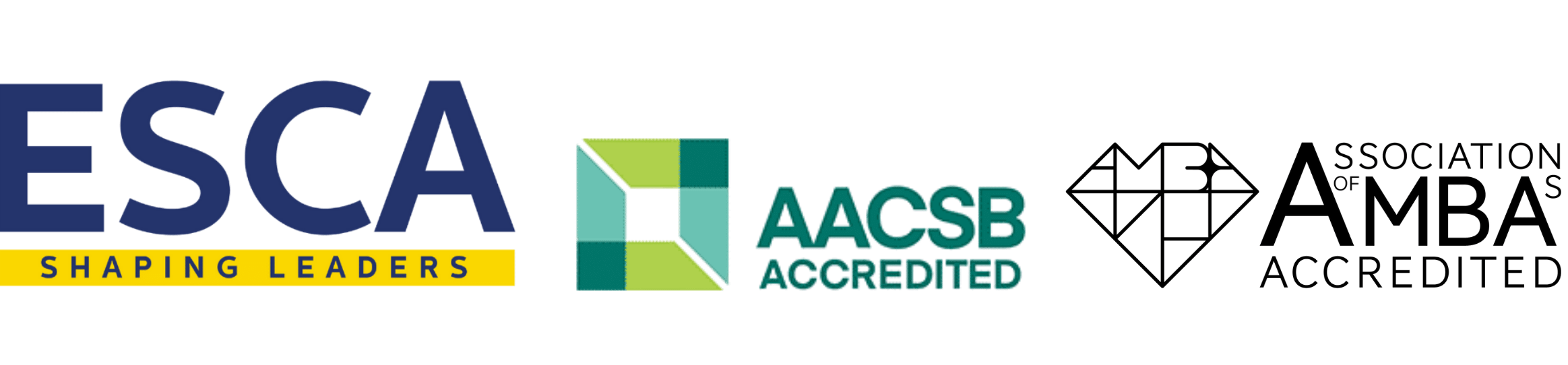 logo (2)